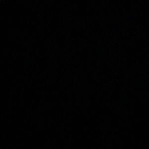 Meet your Posher, Bella